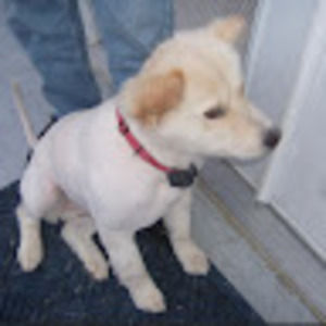 Meet your Posher, Camden